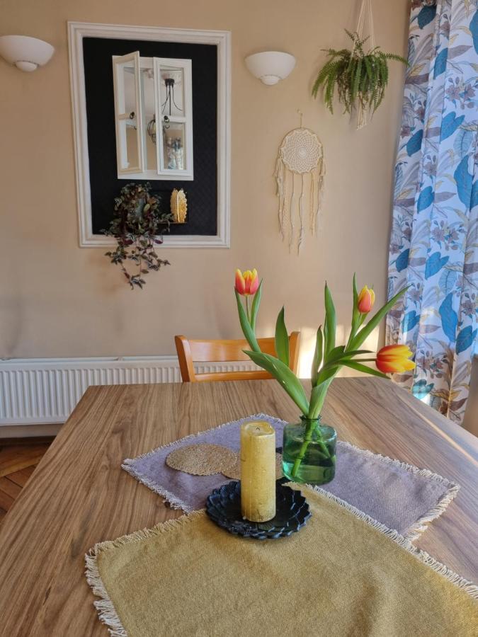 Adria Bed & Breakfast Myślibórz Bagian luar foto